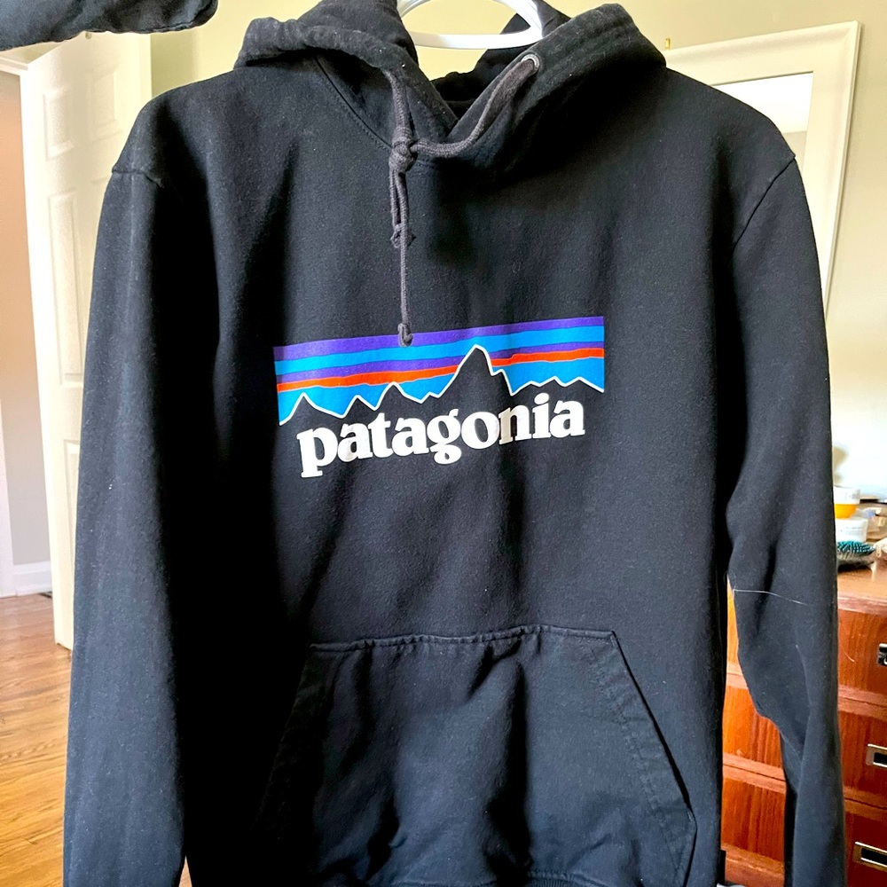 Patagonia hoodie mens size small